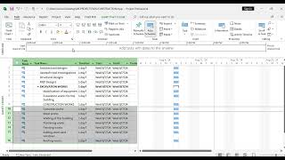 WORK BREAKDOWN STRUCTURE IN MS PROJECT [upl. by Sisely79]