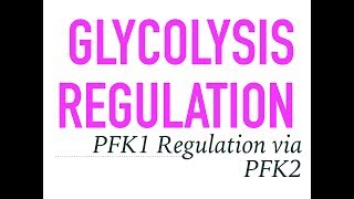 Glycolysis regulation [upl. by Ettennod]