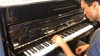 Sauter 122 Meisterklasse  Chopin Nocturne No20 CSharp Minor [upl. by Ligriv]