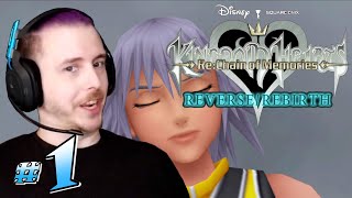 quotRikus quest for retribution beginsquot KINGDOM HEARTS ReverseRebirth Blind Playthrough  Part 1 [upl. by O'Reilly]