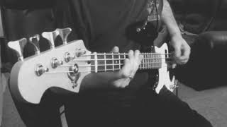 Knock on Wood  Amii Stewart Bass Cover [upl. by Kay]