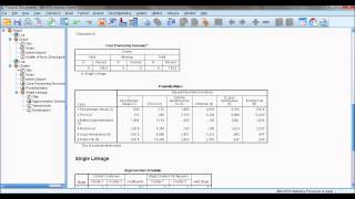 Análise de Agrupamentos SPSS [upl. by Akiner]