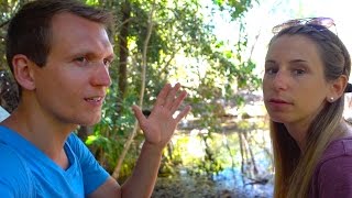 Ist es in Südafrika gefährlich Wie ist es wirklich  Kirstenbosch  VLOG 159 [upl. by Ymij223]