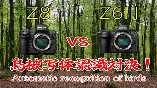 NIKON Z8 VS Z6III 鳥被写体検出対決！ Automatic recognition of birds [upl. by Enitsirhc417]