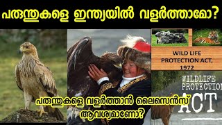 ഇന്ത്യയിൽ പരുന്തുകളെ വളർത്താമോCan we pet an eagle in India SVSennumeppozhumevideyum [upl. by Mather]