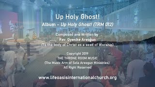 Up Holy Ghost with lyrics  Gospel Music by Rev Oyenike Areogun [upl. by Neelrahs]