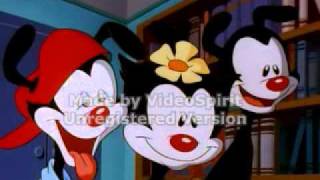 Animaniacs Chalkboard Bungle scene Original AudioFlipped [upl. by Cohe612]