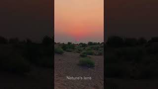 Golden Horizon at Sunsetnature explore shorts viralvideo [upl. by Frolick]