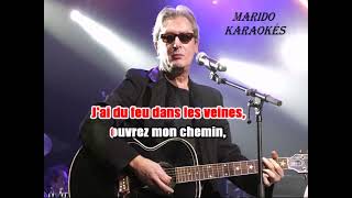 Karaoké Alain Bashung  Du feu dans les veines 1971 [upl. by Pelagi]