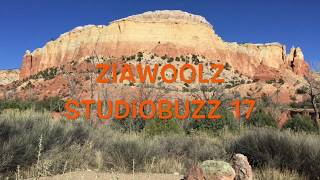 ZiaWoolz StudioBuzz 17 [upl. by Adelheid827]