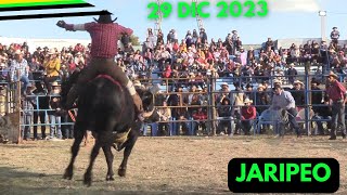 SEGUNDO DIA DE JARIPEO  FIESTA En La Tenencia Lázaro Cárdenas 29 de Diciembre 2023 [upl. by Millford]