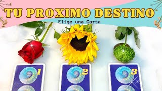 ¿Hacía Donde Va Tu Vida  Elige una Carta ✨ Tarot Interactivo [upl. by Stafford]