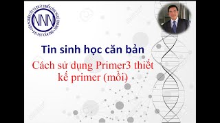 Cách sử dụng Primer3 thiết kế primer mồi PCR [upl. by Siward637]