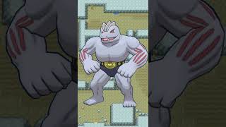 Pokémon Fact of the Day  MACHOP MACHOKE MACHAMP [upl. by Esbensen319]