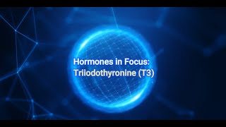 Hormones in Focus Triiodothyronine T3 [upl. by Merla661]