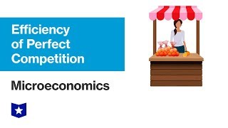 Efficiency of Perfect Competition  Microeconomics [upl. by Armmat]