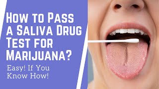 How to Pass a Saliva Drug Test for Marijuana in 2024 Easy If You Know How [upl. by Esra825]