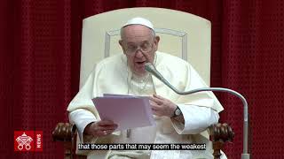 Pope Francis Principle of subsidiarity gives hope for postpandemic future [upl. by Yesrod39]