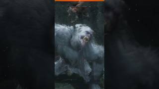 When you think youve killed the Guardian Ape in Sekiro [upl. by Ebner640]