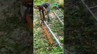 Still Ms880 with a Massive Bar  Chainsaw Mill shorts chainsaw stihl [upl. by Chandos]