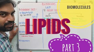 Biomolecules  Lipids  Part 3 [upl. by Kepner499]