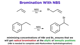 AllylicBenzylic Bromination With NBromo Succinimide NBS [upl. by Charteris]