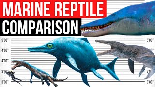 Biggest Marine Reptile  Size Comparison [upl. by Lindner]