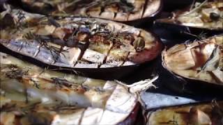 AUBERGINES GRILLÉES AUX FINES HERBES [upl. by Avitzur331]