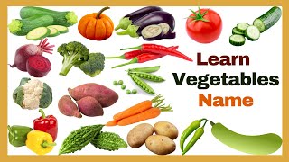 Vegetables Vocabulary ll 20 Vegetables Name in English With Pictures ll All Vegetables Names [upl. by Thorwald]