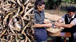 Cultivo y siembra tradicional de legumbres los boliches  Oficios Perdidos  Documental [upl. by Aynatal]