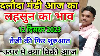 दलौदा मंडी आज का लहसुन का भाव 12 दिसंबर 2023 garlic rate today aaj ka lahsun ka bhav [upl. by Baldwin589]