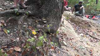 Bakewell Mountain  Lewis Chapel rock climb ride [upl. by Stichter]