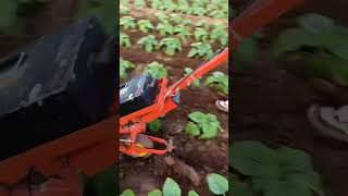 The ridge ditch tilling machine is a multipurpose machine that saves time effort and labor 48 [upl. by Divadnhoj]