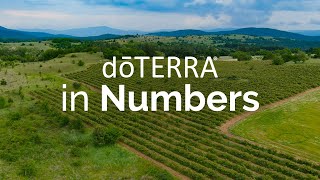 doTERRA In Numbers 2023 [upl. by Atinar]