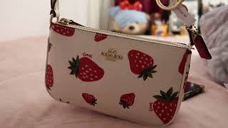 COACH WHAT FITS IN MY NOLITA 19  STRAWBERRY PRINT EDITION [upl. by Anitnauq]