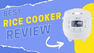 BEST RICE COOKER REVIEW Yum Asia Panda [upl. by Saundra]