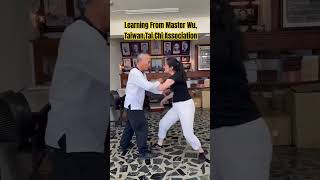 Push Hands with Master Wu Taiwan Tai Chi Association [upl. by Sarkaria]