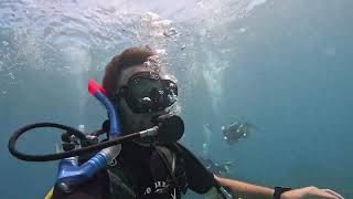 Scuba diving  Koh Lipe Thailand [upl. by Ima381]