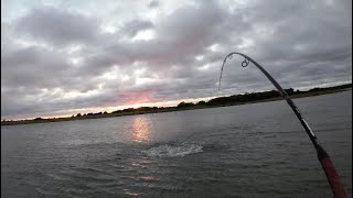 Noreaster Mullet Run  Topwater Stripers Tight to Shore [upl. by Agarhs45]