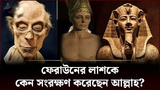 ৩৩০০ বছর পরেও কেন পঁচেনি ফেরাউনের লাশ  Islamic History  Prophet Moses  Firaun [upl. by Adiazteb]