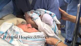 Perinatal Hospice Video [upl. by Nikos]