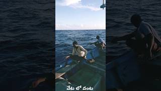 Andaman fishing [upl. by Ysteb]