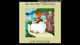 CAT STEVENSTea For The Tillerman10Father And Son1970 [upl. by Ahsiuqel821]