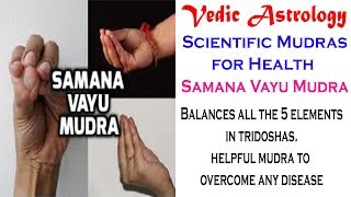 Samana Vayu Mudra in Scientific Mudras for Health  14 [upl. by Marx]