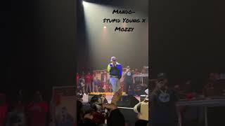 Stupid young performs Mando No rights reserved [upl. by Misaq544]