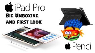 iPad Pro 97 128 GB WiFi  Cellular  Big Unboxing and first look [upl. by Alane]