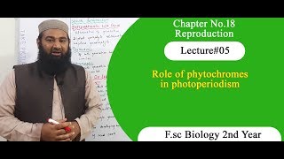 Biology Ch18Lecture05 Role of phytochromes in photoperiodism FSc 2nd Year [upl. by Bowes]