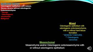 Epithelial Odontogenic Tumors [upl. by Prevot834]