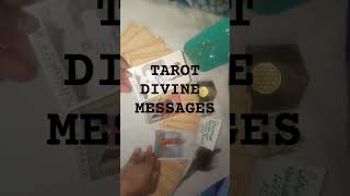 TAROT DIVINE MESSAGES 💎🧿youtubeyoutubeshortstarotreadingdivinetarotloveblessings [upl. by Pavia173]