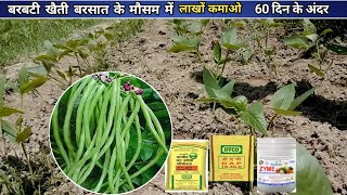 बरबटी की खेती  बौड़ा  Cowpea farming  Barbati ki kheti  subji ki kheti kaise karen  farming [upl. by Enomal]